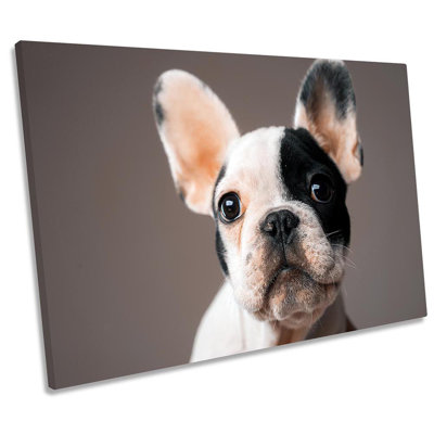 French Bulldog Cute Framed - Wrapped Canvas Print