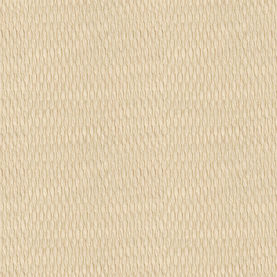 Basics Fabric