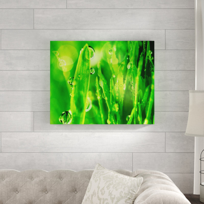 Macro Grass I par Chelsea Art Studio - impression, Extérieur, H 40 po x l 50 po x P 1,5 po