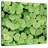 Harnek Patch Of Shamrock-109215761