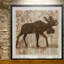 Moose Crossing - reproduction de cadre photo-1033665830