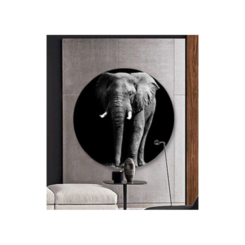 Éléphant frontal - photographie sur acrylique, H 24 po x l 24 po x P 2,5 po