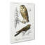 Owl And Bird Illustrations by Charles D' Orbigny - Wrapped Canvas Painting-55366918