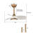 Haywa 28'' Ceiling Fan with LED Lights-383580985
