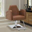 Fauteuil de coiffeur à pompe hydraulique de 440 lb pour coiffeur, fauteuil de coiffeur en similicuir-408254175