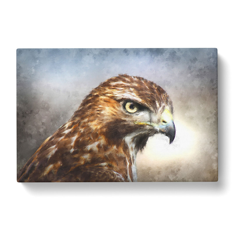 Hawk - Wrapped Canvas Painting, 50cm H x 76cm W x 3cm D