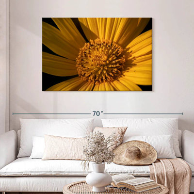 Tournesol jaune sauvage Harnek
