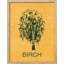 «Duotone Yellow Birch Tree Silhouette Floral Botanical» sur papier-98265895-98265898