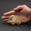 Grappe de quartz Herkimer du comté de Herkimer, New York (185,4 grammes)