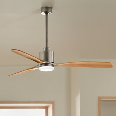 Ridley 60'' Ceiling Fan with LED Lights