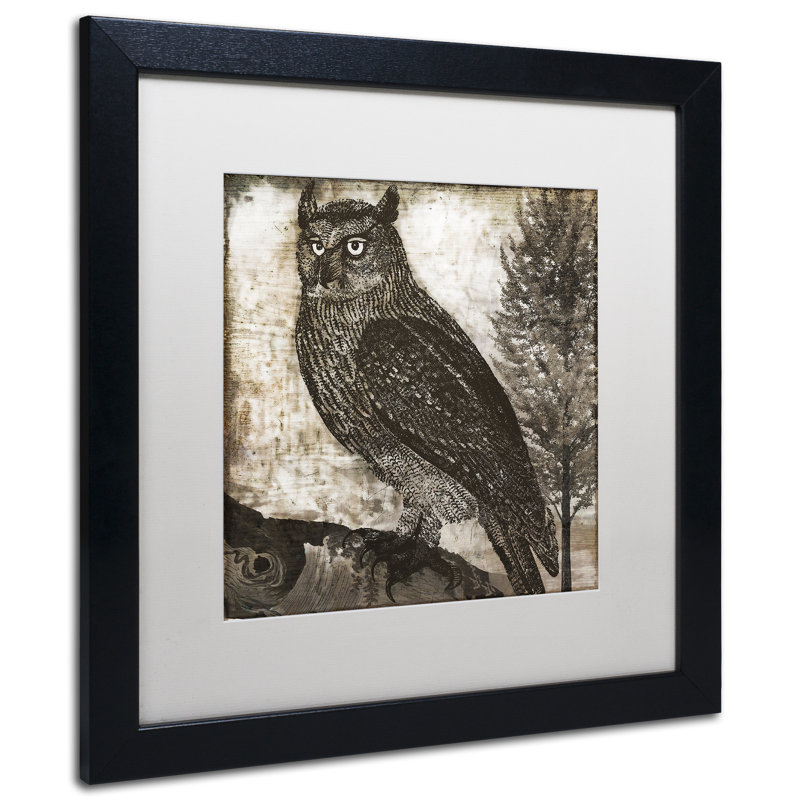 Jadaya «Owl 2» par Color Bakery, impression encadrée, Blanc, H 16 po x l 16 po x P 0,5 po