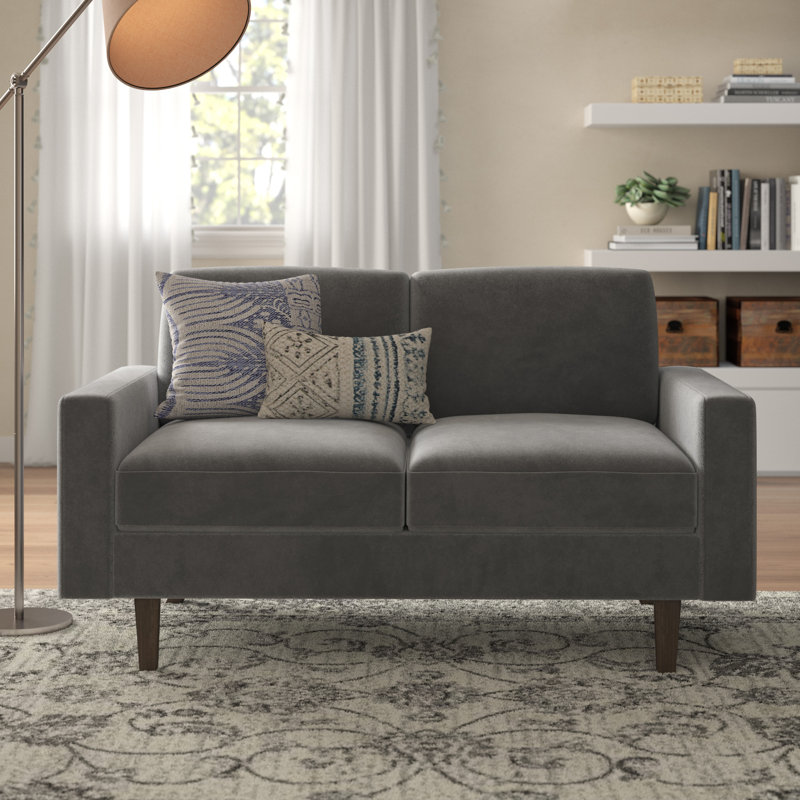 Noreen 57.9'' Velvet Loveseat, Gray Velvet