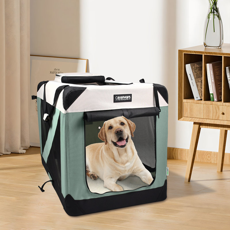 Caisse pour chien Jespet, H 27 po x l 24 po x P 36 po, Vert