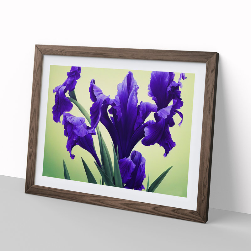 Evolving Iris Flowers - Framed Print, 25cm H x 34cm W x 2cm D, Walnut