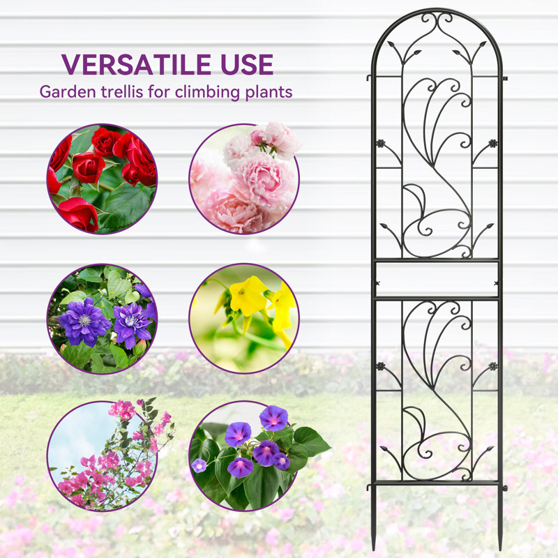 Rason 87'' H x 20'' W Metal Arched Trellis Side Panel