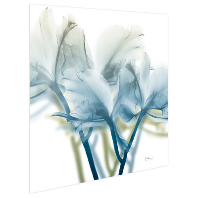«Déplacé beauté 3» par Albert Koetsier - reproduction de photo sans cadre sur verre