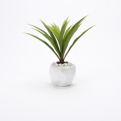 Herbe verte dans un bol en céramique