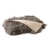 Portobello est en rupture de stock