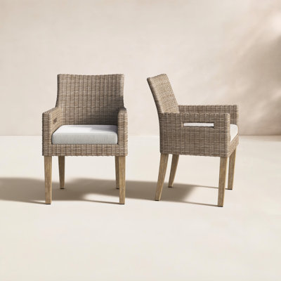 Fleur Set of 2 Fleur Outdoor Dining Armchairs with Cushion