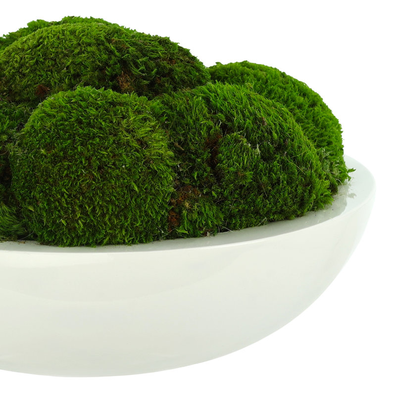 5" Artificial Moss Plant in Planter, 8" H x 14" W x 14" D