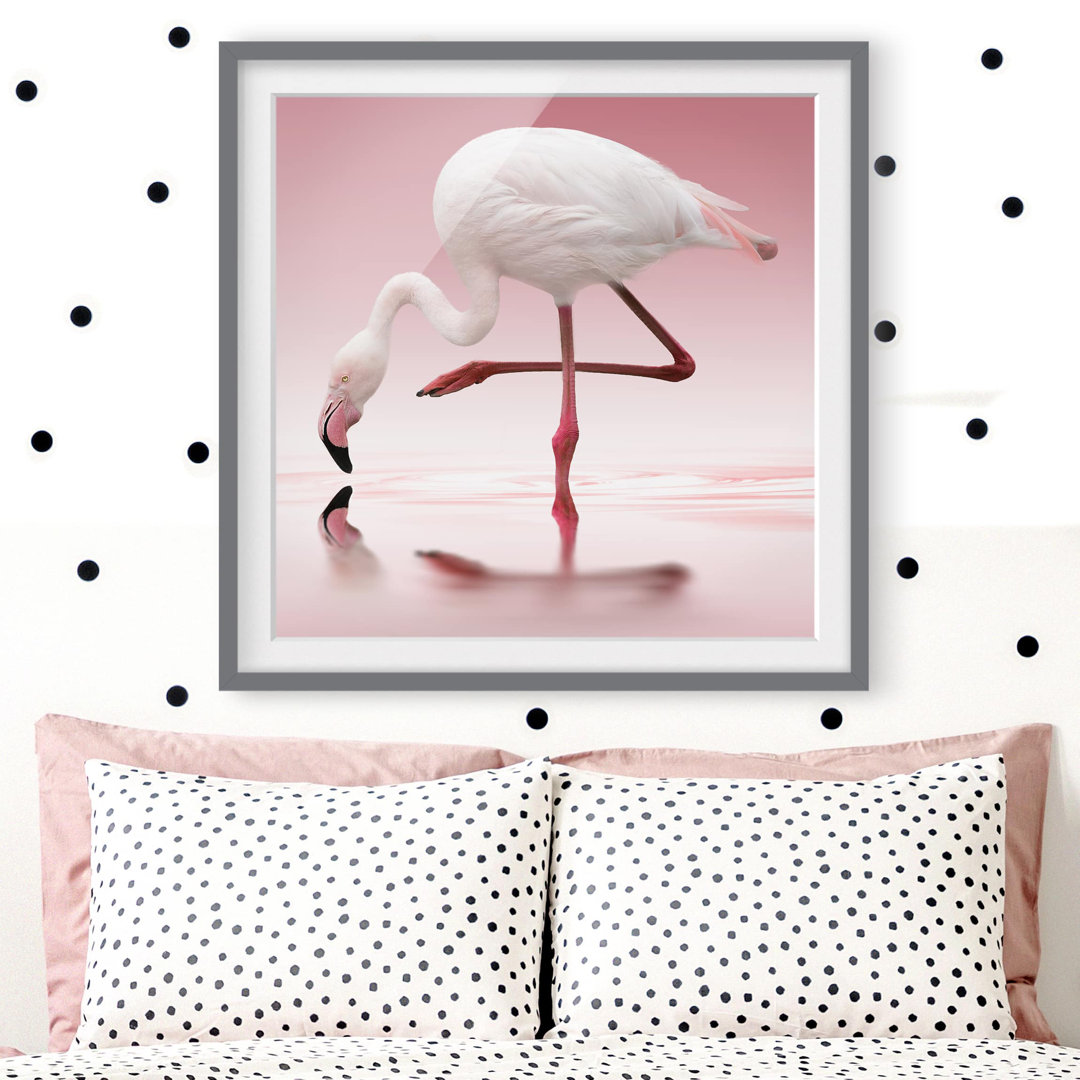 Gerahmtes Poster Flamingo Dance