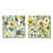 Toile tendue
