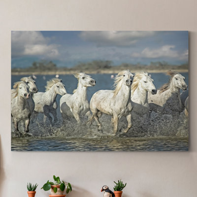 " White Horses Of The Camargue "