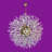 24” Dimmable Starburst Crystal Chandelier with LED Lights and Adjustable Chain