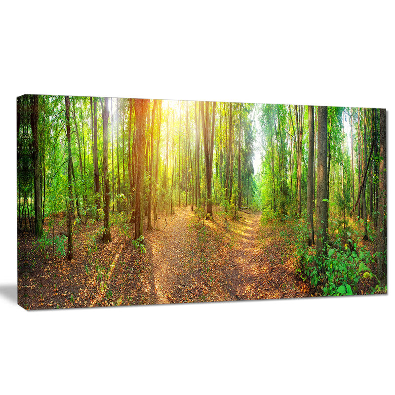 Dense Forest Panorama Landscape Canvas Art Print