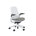 Seagull