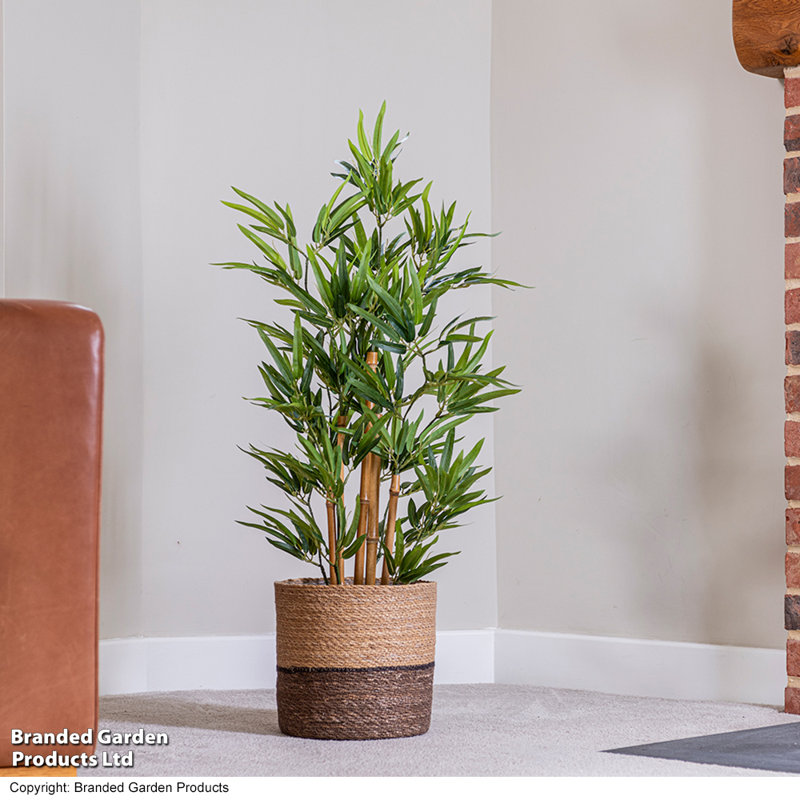 90cm Bamboo Tree in Pot