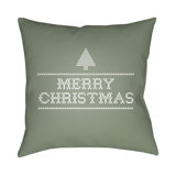 Indoor/Outdoor Throw Pillow