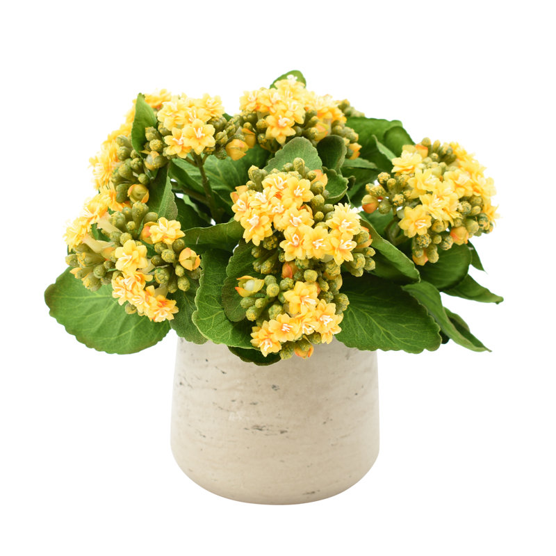 Arrangement Kalanchoe dans un pot en fibre de pierre, Jaune
