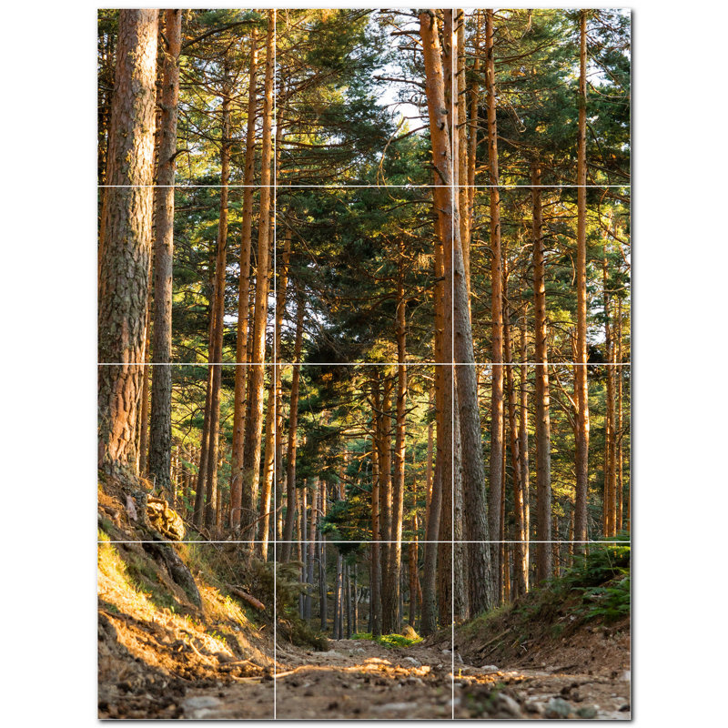 Photo d'automne 4,25 x 4,25