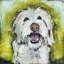 «Smiley Dog» par Tori Campisi - reproduction sur toile tendue-694063029