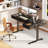 Electric Standing Desk With 4 Under-desk Drawers, Height-adjustable Desk With Built-in Power Outlets,standing Desk With Reversible Structure,home Office Desk With Hidden Desk-mounted Cable Management Tray-1255763392