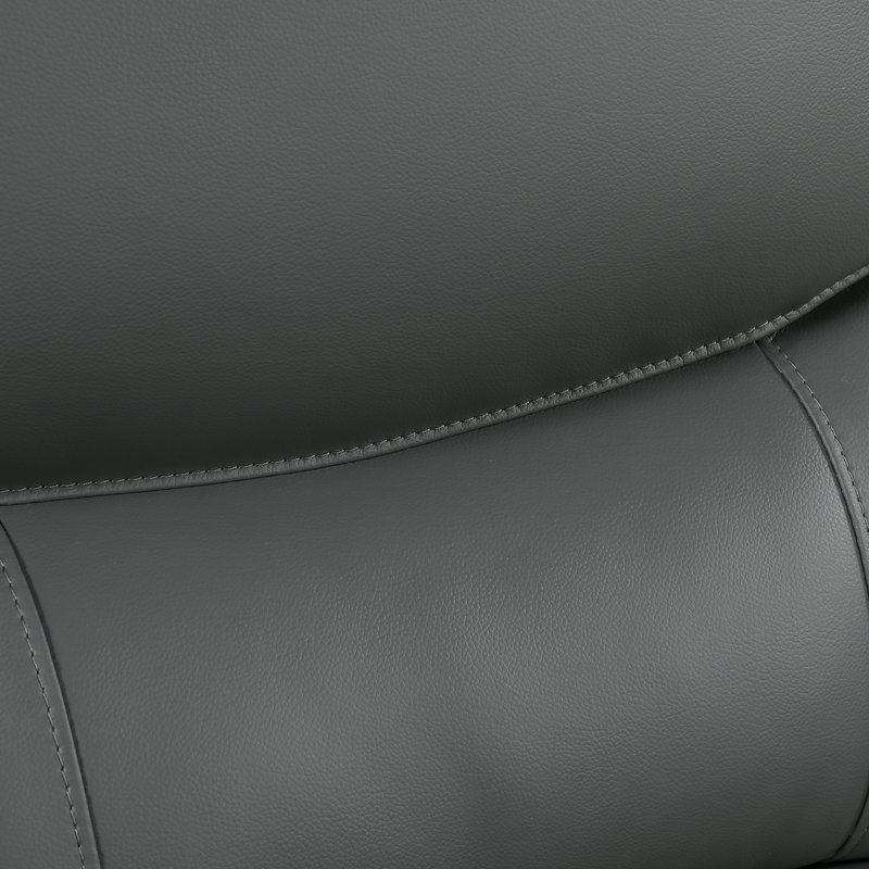 Chaise en cuir véritable, Gris