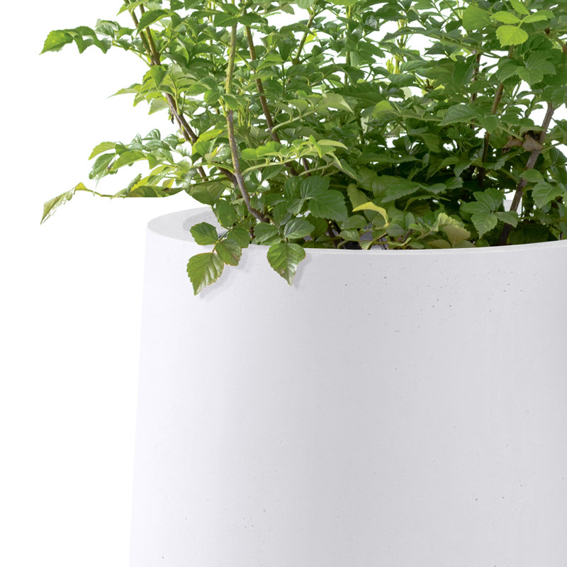 Grand pot à fleurs Brenno, Blanc pur, H 13,4 po x l 13 po x P 13 po