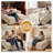 53 in Boneless Chaise Sofa,Couch