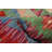 Aashi One-of-a-Kind 4'4" X 5'8" New Age Wool Area Rug in