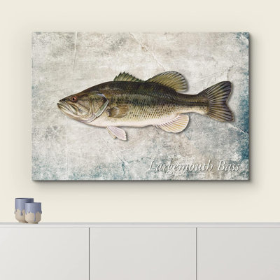 " Largemouth Bass Fish On Granite "