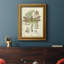 Toile encadrée de qualité supérieure Regal Dragonfly III (PP)-1635348184