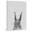 " Grey Rabbit II " Painting Print-28282394