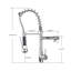 Belfry Kitchen Allia Pull Down Kitchen Faucet