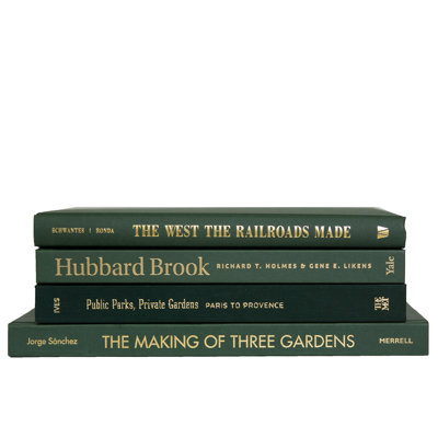 Modern Boxwood ColorStak, S/4