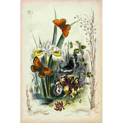 Victorian Butterfly Garden II