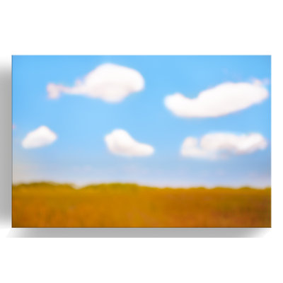 Everglades Sky by Cheryl Marder - Print on Paper
