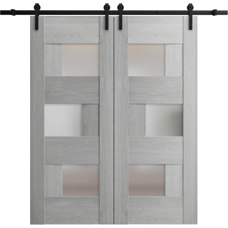 Porte de grange double robuste | Sete 6933 noir mat avec verre givré | Ensemble de 13 cintres lourds pour rail | Portes intérieures solides
