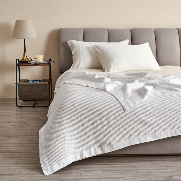 Brookstone Nap Blanket | Wayfair