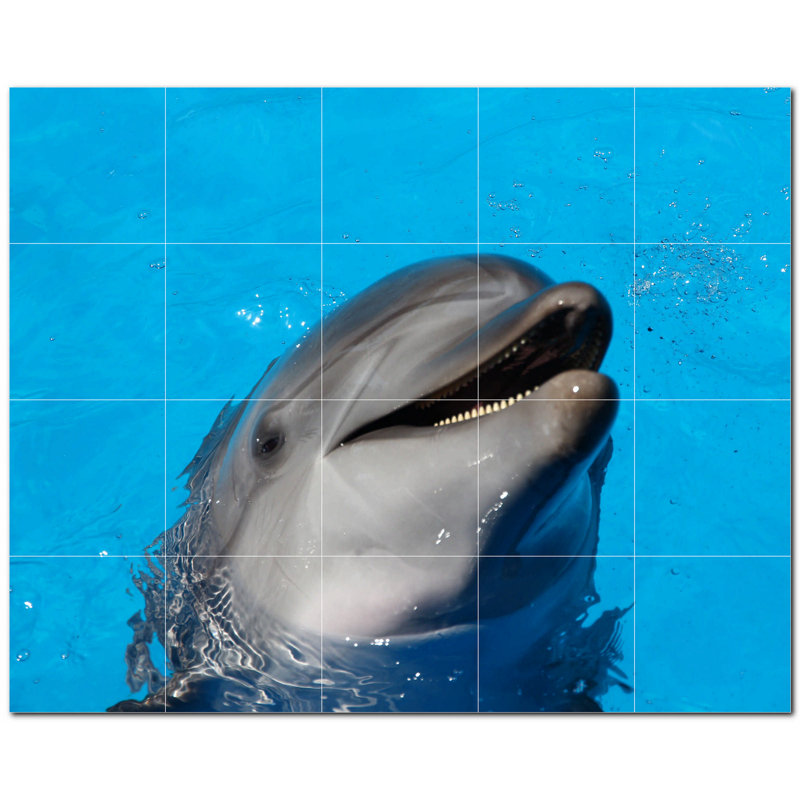 Murale décorative en céramique 4,25 po x 4,25 po Dolphin Photo